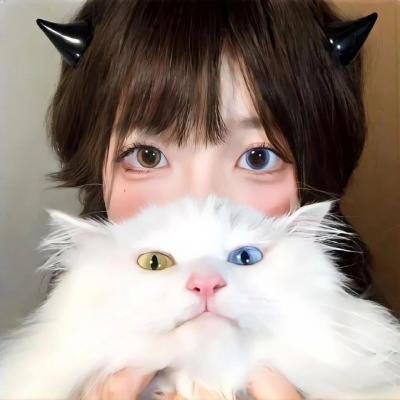 冰狗任务